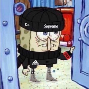 Meet your Posher, Luke